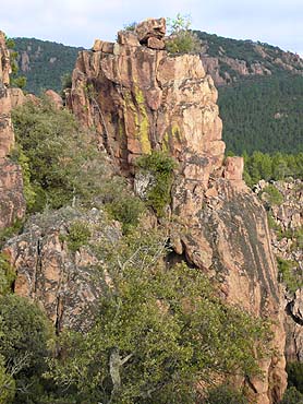 Gorges du Blavet - Felsen